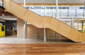 cladding plywood
