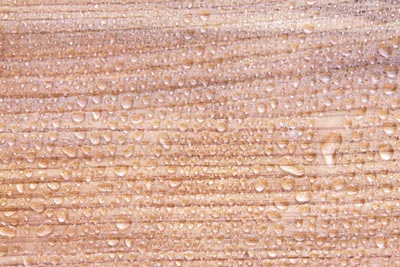 water repellant plywood finish