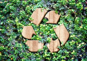 can old plywood be recycled?