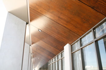 external plywood cladding Sydney