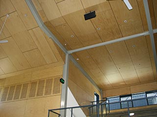 fa mitchell hoop pine plywood