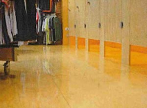 plywood veener quality B