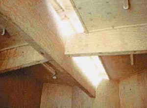 plywood veener quality C